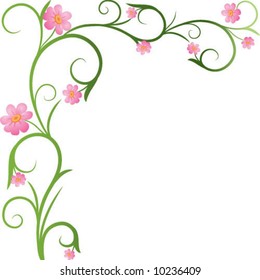  spring  flower on white