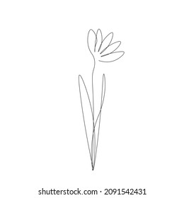 Spring flower on white background line drawing vector illustration