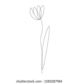 Spring flower one line drawing, vector illustration