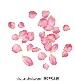 Spring flower petals blossoms blank background template. Vector illustration isolated on a white backdrop.