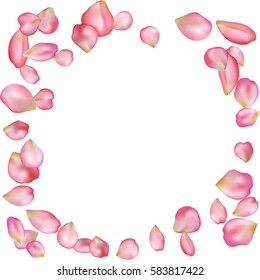 Spring flower petals blossoms blank background template. Vector illustration isolated on a white backdrop.