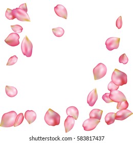Spring flower petals blossoms blank background template. Vector illustration isolated on a white backdrop.
