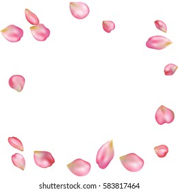 Spring flower petals blossoms blank background template. Vector illustration isolated on a white backdrop.