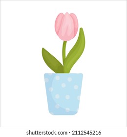 Spring flower pink tulip in a pot.Cartoon vector graphic.