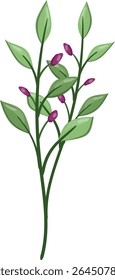 Spring Flower Plant, fresh and beautiful