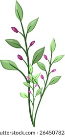 Spring Flower Plant, fresh and beautiful