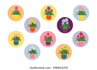 Spring Flower Pot Filled Icon Ten Bundle