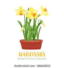 Spring flower in flower pot. Narcissuses primroses. Garden design icons isolated on white background. Cartoon style vector illustration