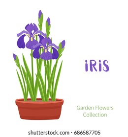 Spring flower in flower pot.Iris primroses. Garden design icons isolated on white background. Cartoon style vector illustration