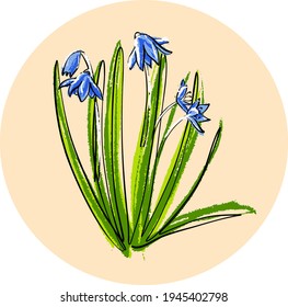 Spring flower Scilla or blue copse. The logo.