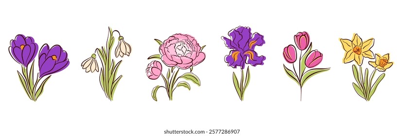 Spring flower set with crocus, snowdrop, peony, iris, tulip and daffodil in line art, flat style. Perfect for seasonal design, greeting card, poster and nature theme. Isolated on a white background.