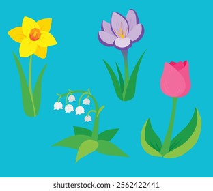 Spring flower set with individual illustrations of yellow-orange daffodil, purple crocus, pink tulip, and white lily of the valley. Perfect for botanical, floral, seasonal, and nature-inspired designs