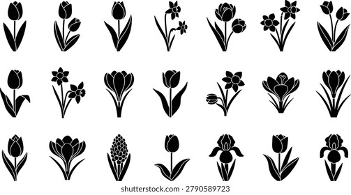 Spring flower silhouette collection featuring tulip daffodil floral elements