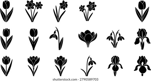 Spring flower silhouette icon collection with tulip crocus snowdrop daffodil