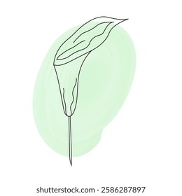 Spring flower single calla. Botanical line art, minimal design element. Flat vector illustration with pastel green spot isolated on white background for Easter, banners, social media designs
