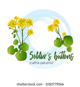 Spring flower – a soldier's buttons for bouquets, wedding cards, banners and posters, is also suitable for textile prints.