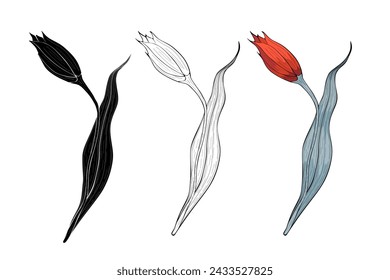 Frühlingsblume drei Optionen, Botanische Dekoration