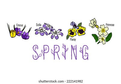 Spring Flower Variety - Crocus, Scilla, Pansy, Primrose