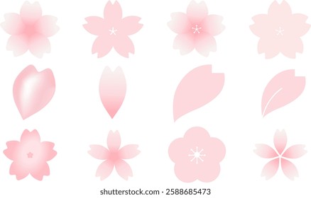 spring flower Various cherry blossom icon sets