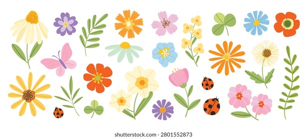 Spring flower vector elements set with ladybugs. Colorful flat floral clipart with wildflowers, leaves and cute ladybug accents for cards, stickers and seasonal decoration.