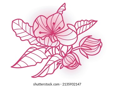 Frühlingsblume, Vektorgrafik einzeln auf weißem Hintergrund
