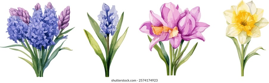 Spring Flower Vector, illustration, Flower, Lavender