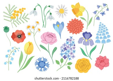 Spring flower vector set isolated on white. Wildflowers illustration