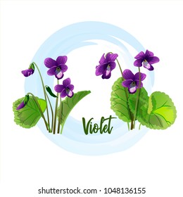 Spring flower - a violet for bouquets, wedding cards, banners and posters, is also suitable for textile prints.