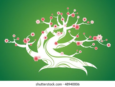 Bonsai florida de primavera
