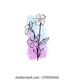 Spring flowering branch as a design element with a grunge background. Flowers in the sketch style isolated on white. Hand-drawn blooming for greeting cards. Vector illustration for paper, text, tattoo