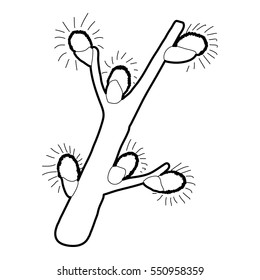 Spring flowering branch icon. Isometric 3d illustration of spring flowering branch vector icon for web