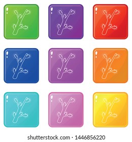 Spring flowering branch icons set 9 color collection isolated on white for any design