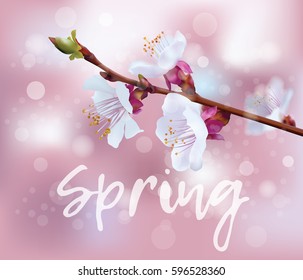 Spring. Flowering branch of a tree. Pink background with bokeh.