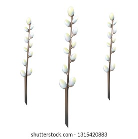 Spring flowering branches of willow. Realistic vector illustration of willow twigs. Spring blossoming willow on white background