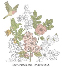 spring flowering honeysuckle, lilac, wild rose , butterfly and robin bird, vector drawing branches with flowers and green leaves at white background , hand drawn illustration