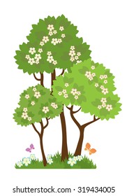 Spring flowering trees on a white background