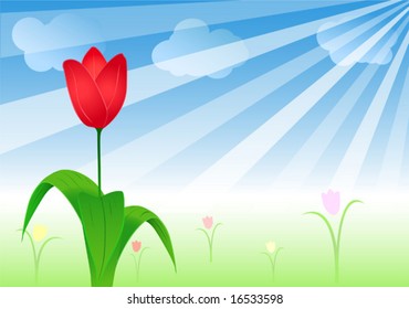 Spring flowers