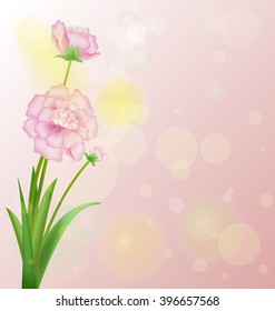 Spring and Flowers
