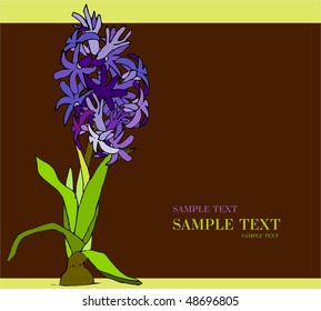 Spring Flowers