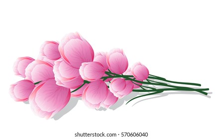 spring flowers