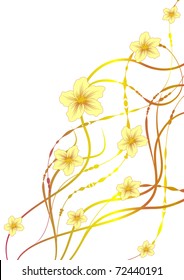 Spring Flowers