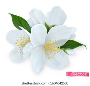 Spring flowers. 3d realistic vector object. Nature icon
