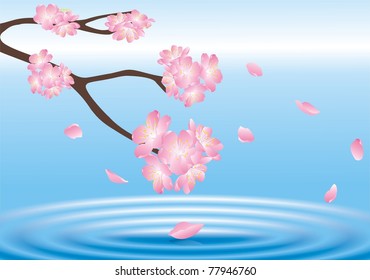 spring flowers above the water