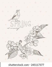 Spring flowers. Apple branch. Greeting Card for March 8. Poster with flowering plants in doodle vintage style. Sketch. Hipster blossom design.