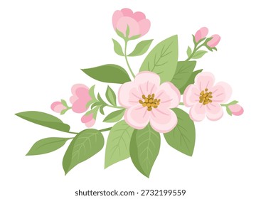 Spring flowers. Apple tree branch with flowers and green leaves on white background 

