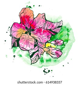 Spring flowers of apple tree, hand drawing. Vector illustration