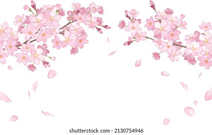 Spring flowers: Arched frame of cherry blossoms and falling petals. Watercolor illustration. (Vector. Layout can be changed)