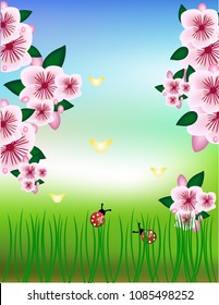 Spring flowers background
