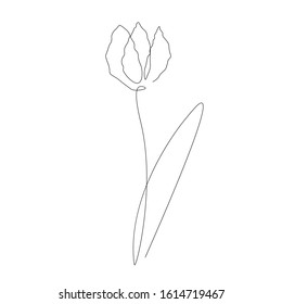 Spring flowers background. Continuous line drawing. Vector illustration