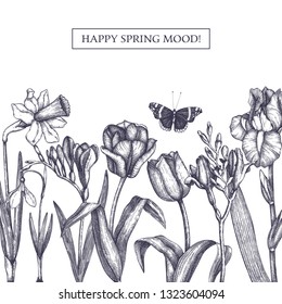 Spring flowers background. Floral invitation or greeting card design. Hand drawn illustrations. Botanical drawings of tulips, crocus, freesia, iris, narcissus, snowdrops, cyclamen. Vintage art. 